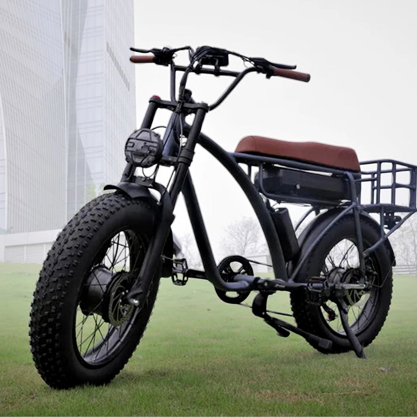 Cargo E-Bikes