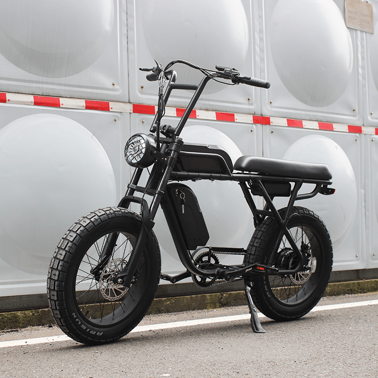 Coastal Cruiser - Ripper Pro - Dual-Battery 48V 750W Moto Style Electric Bike