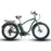 Coastal Cruiser - Fat Tire 26x4 - 52v Beach Cruiser Electric Bike