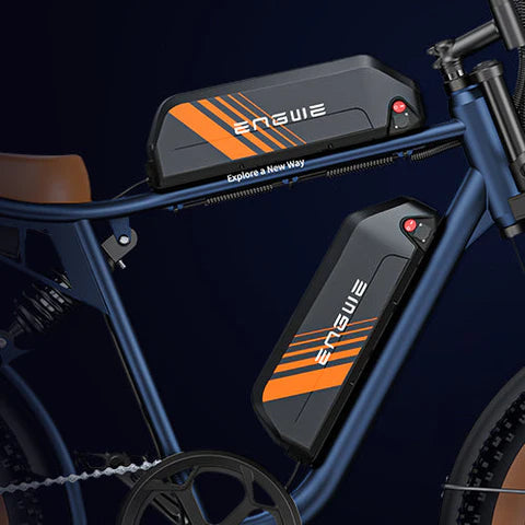 Flying Fish-Inspired Frame