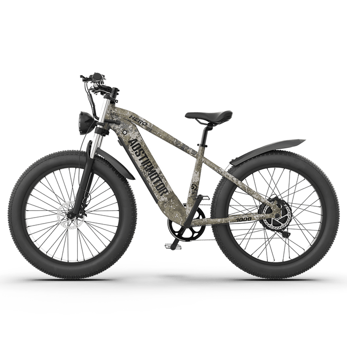 Aostirmotor Off-road Electric Bike Hero