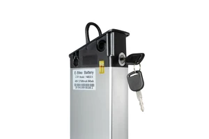 Battery-- 48V