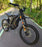 Freego Natkie N1 Electric Mountain Dirt Bike