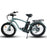 Coastal Cruiser - Step Over 24x3 - 52v Beach Cruiser Electric Bike