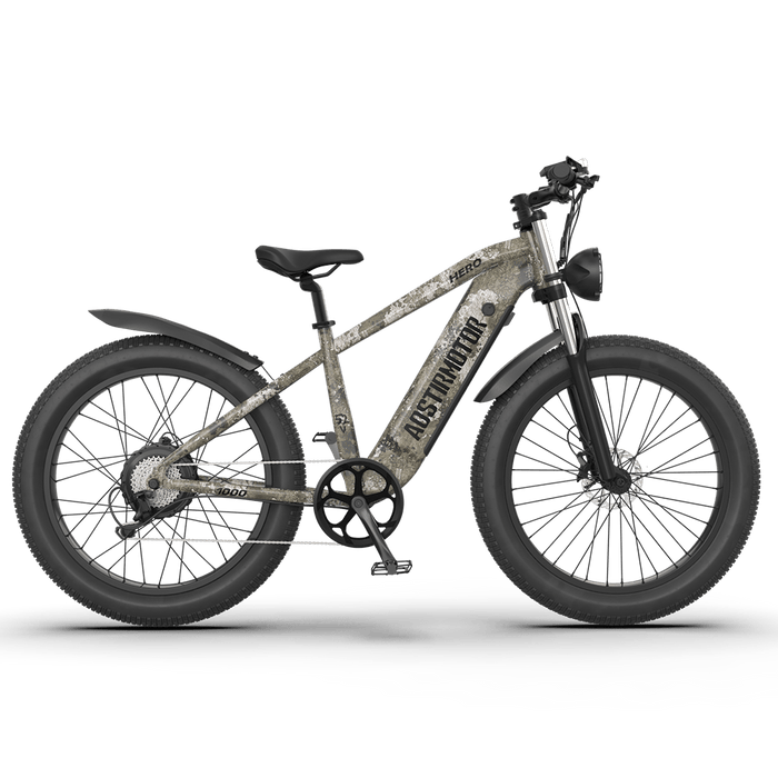 Aostirmotor Off-road Electric Bike Hero