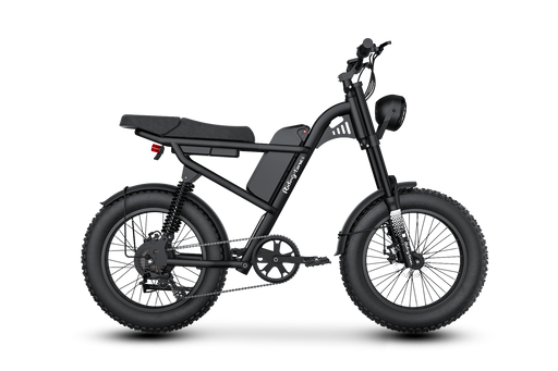 Z8 Electric Bike