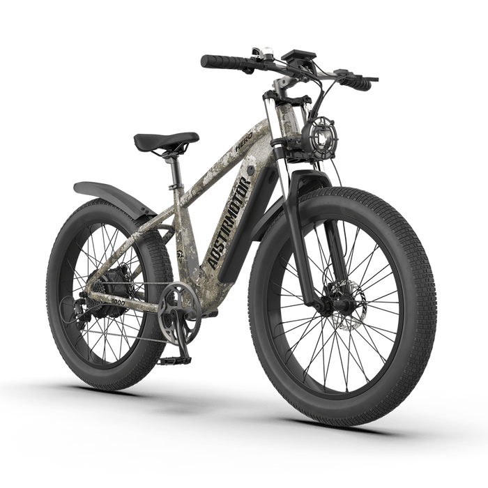 Aostirmotor Off-road Electric Bike Hero