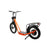 Eunorau Jumbo Electric Bike