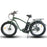 Coastal Cruiser - Fat Tire 26x4 - 52v Beach Cruiser Electric Bike