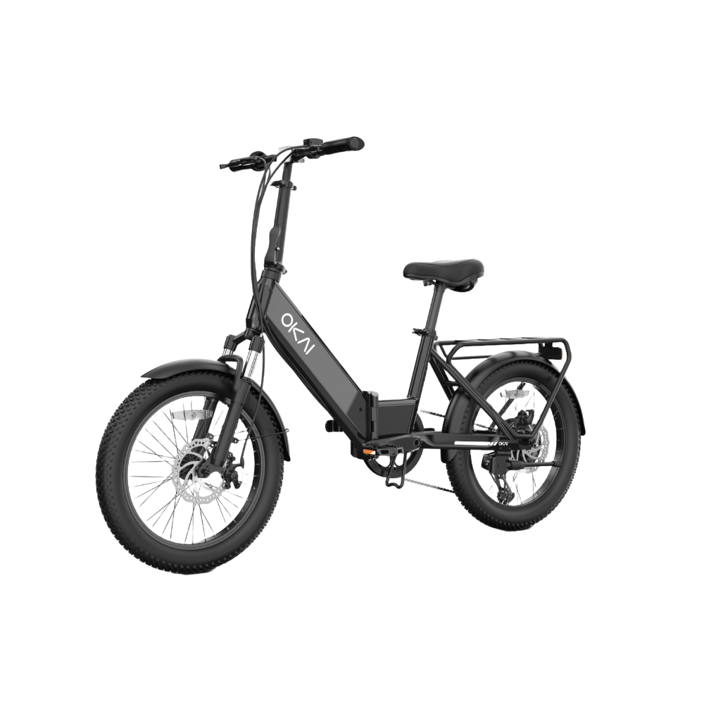 FlexMov EBF10 Folding eBike