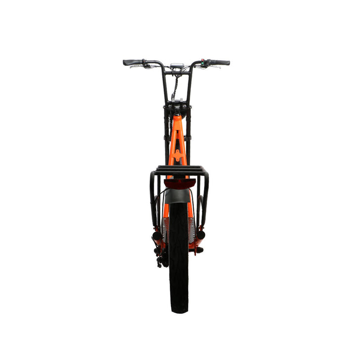 Eunorau Jumbo Electric Bike