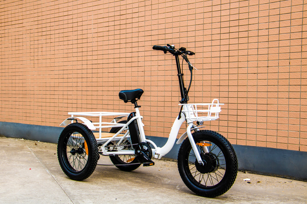 Eunorau New-Trike Electric Bike