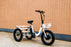 Eunorau New-Trike Electric Bike