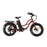 Coastal Cruiser - Step Thru Mini 20x4 - 52v Beach Cruiser Electric Bike