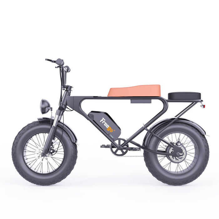 Freego DK200 Off Road Mountain Electric Bike 20'' Fat tires 1200W Powerful Motor 20Ah Lithium Battery