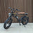 Freego DK200 Off Road Mountain Electric Bike 20'' Fat tires 1200W Powerful Motor 20Ah Lithium Battery