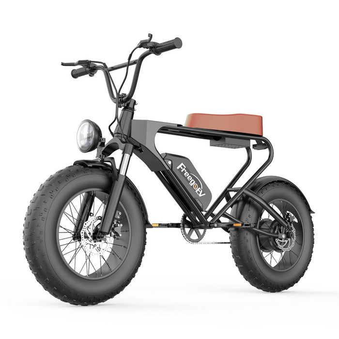 Freego DK200 Off Road Mountain Electric Bike 20'' Fat tires 1200W Powerful Motor 20Ah Lithium Battery