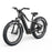 Ranger EB50 eBike