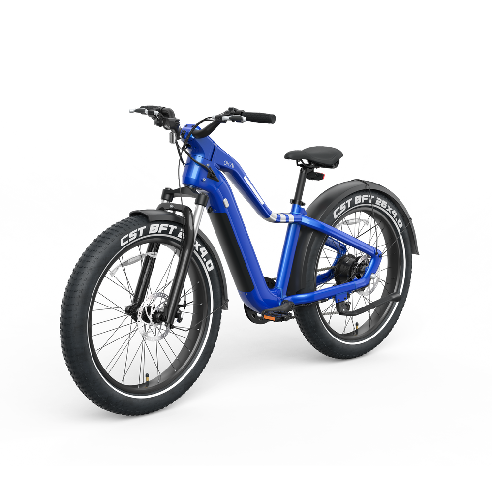 Ranger EB50 eBike