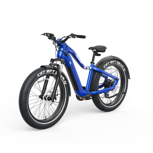 Ranger EB50 eBike