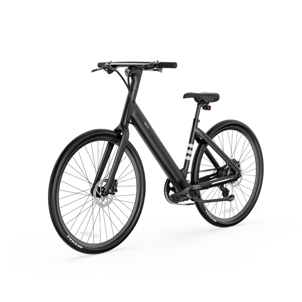 LyteCycle EB60 eBike