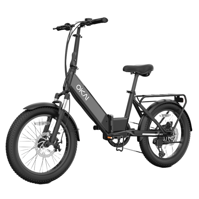 FlexMov EBF10 Folding eBike