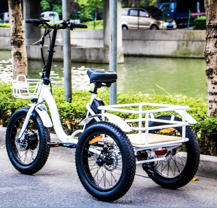 Eunorau New-Trike Electric Bike