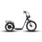 Eunorau Jumbo Electric Bike