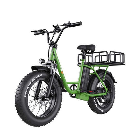 Freego FB-20X Step-thru Fat Tire Electric Bike