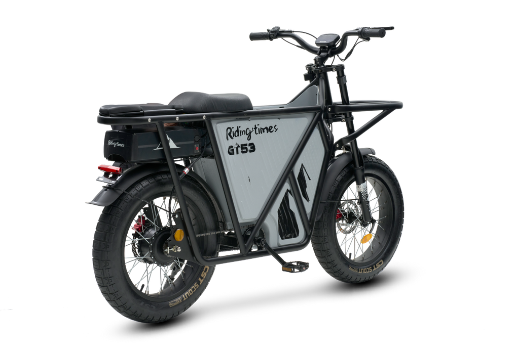 GT53 Cargo eBike