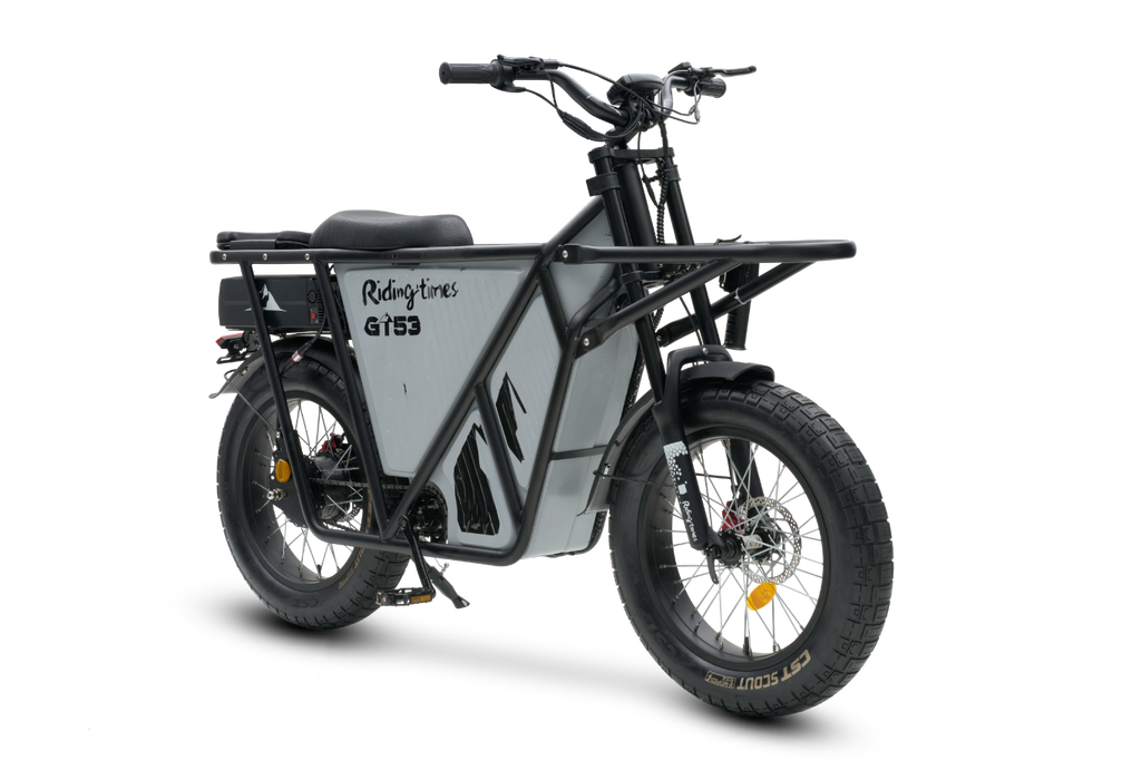 GT53 Cargo eBike