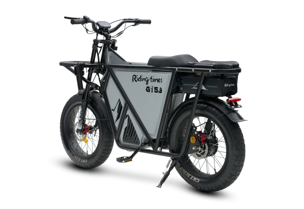 GT53 Cargo eBike