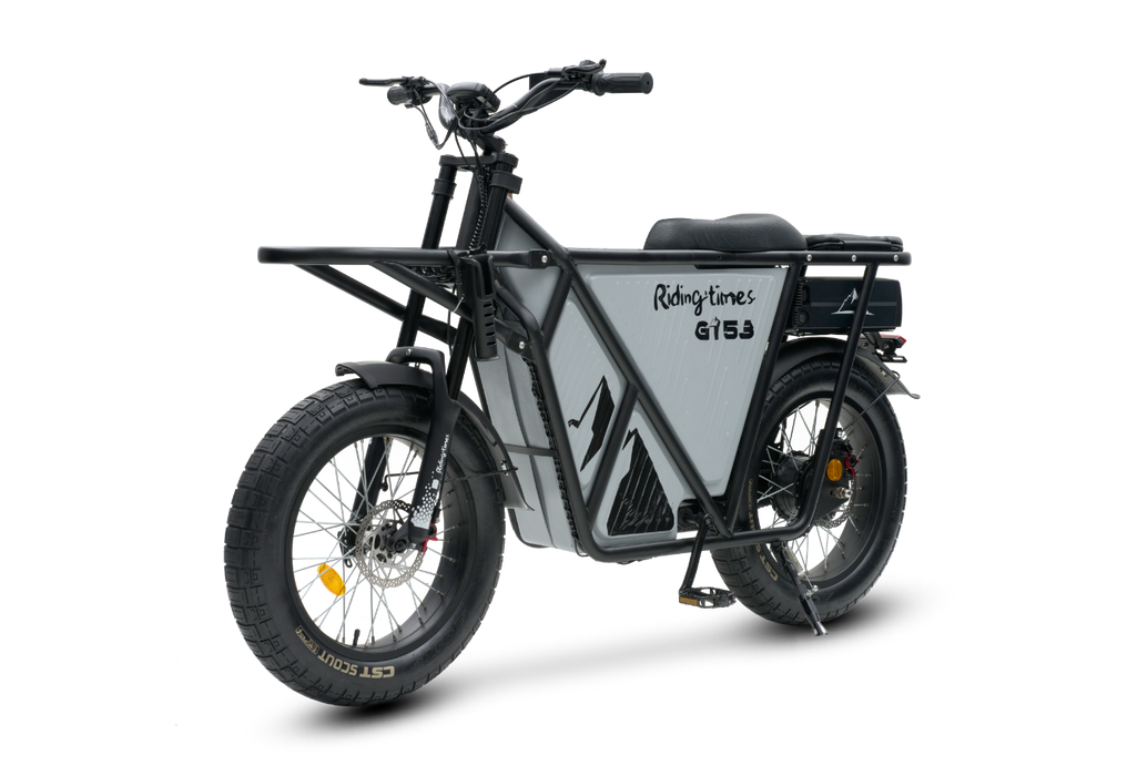 GT53 Cargo eBike