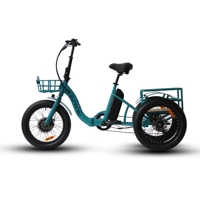 Eunorau New-Trike Electric Bike