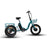 Eunorau New-Trike Electric Bike