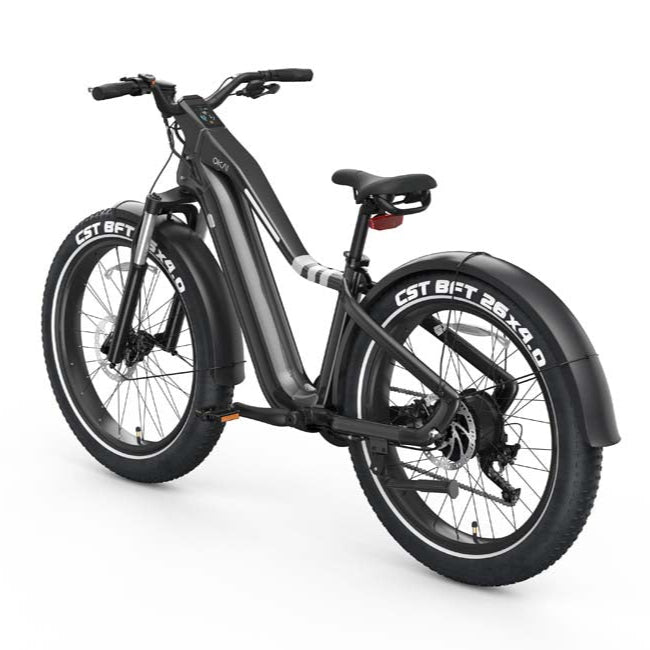 Ranger EB50 eBike