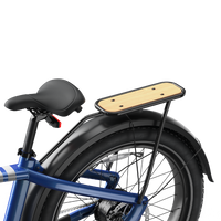 EB50 Series Rear Rack