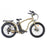 Coastal Cruiser - Step Over 24x3 - 52v Beach Cruiser Electric Bike