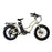 Coastal Cruiser - Step Thru Mini 20x4 - 52v Beach Cruiser Electric Bike