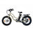 Coastal Cruiser - Step Thru Mini 20x4 - 52v Beach Cruiser Electric Bike