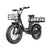 Freego FB-20X Step-thru Fat Tire Electric Bike