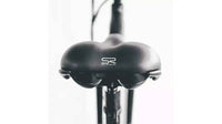 Coastal Cruiser - Trustmade Bobcat - 500W Hardtail Electric Bike