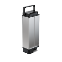 Panther ES800 Battery (52V 19.2AH)