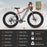 Tracer Tacoma 26"800W Electric Fat Tire Bike w/ Dual Suspensions.