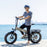 Yamee Fat Bear 750S Pro Electric Bike